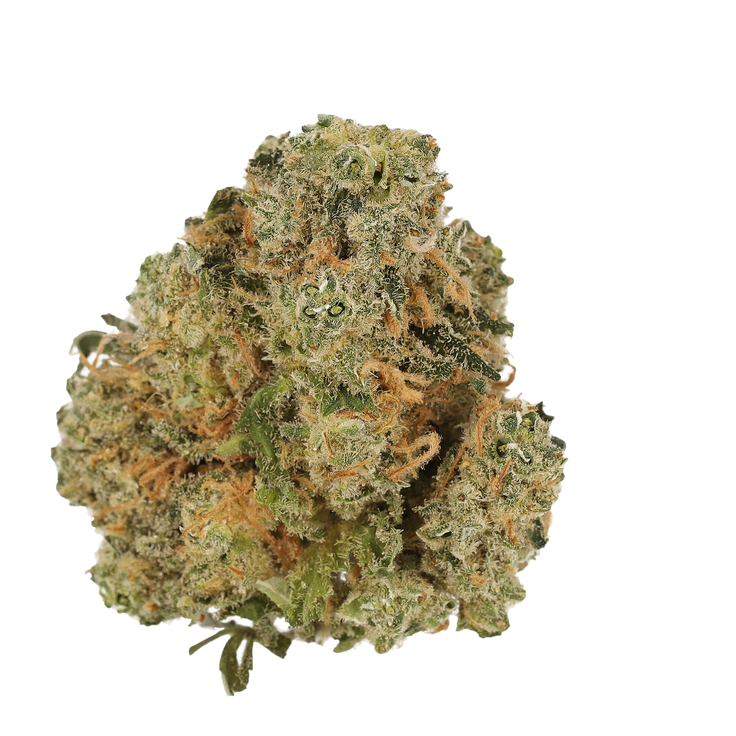 Cannamedical Indica Forte DK Sky Berry Kush